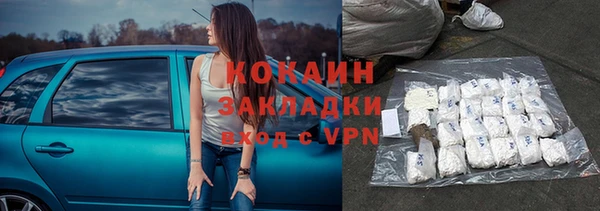 шишки Козельск