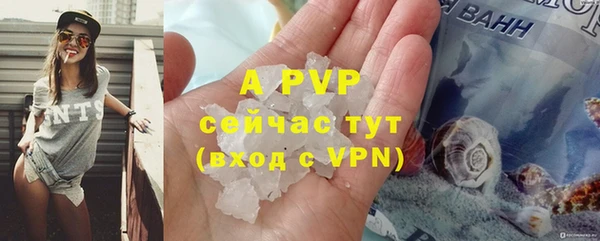 крисы Кодинск