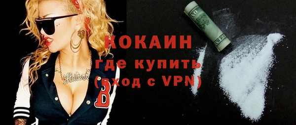 шишки Козельск
