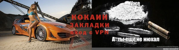 крисы Кодинск