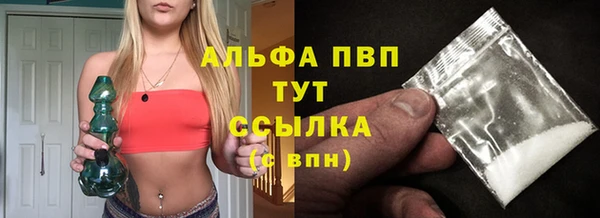 крисы Кодинск