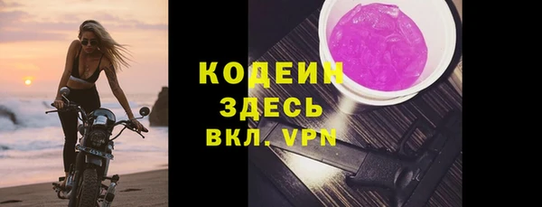 шишки Козельск