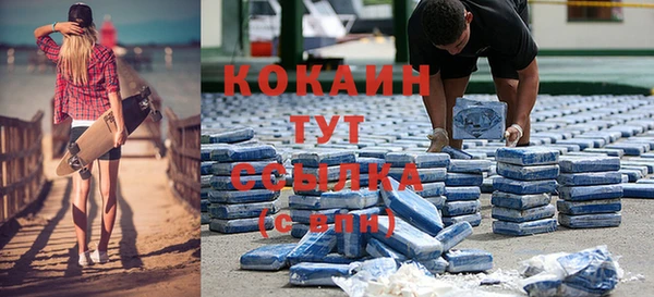 крисы Кодинск