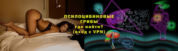 крисы Кодинск