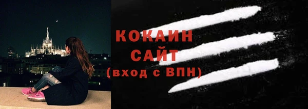 шишки Козельск