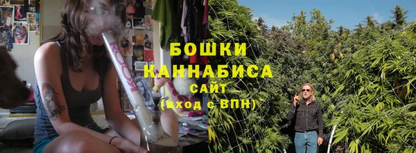 крисы Кодинск