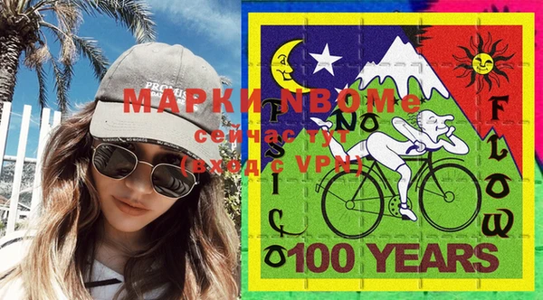 шишки Козельск