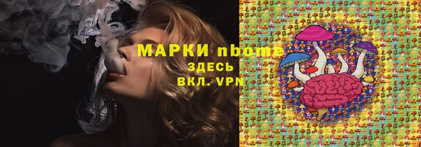 шишки Козельск