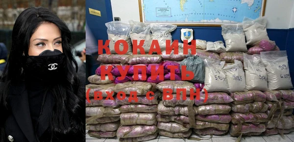 шишки Козельск