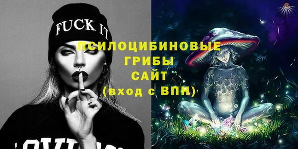 крисы Кодинск