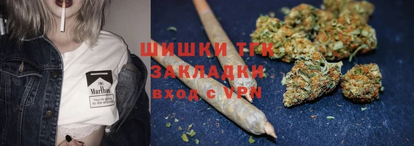 шишки Козельск
